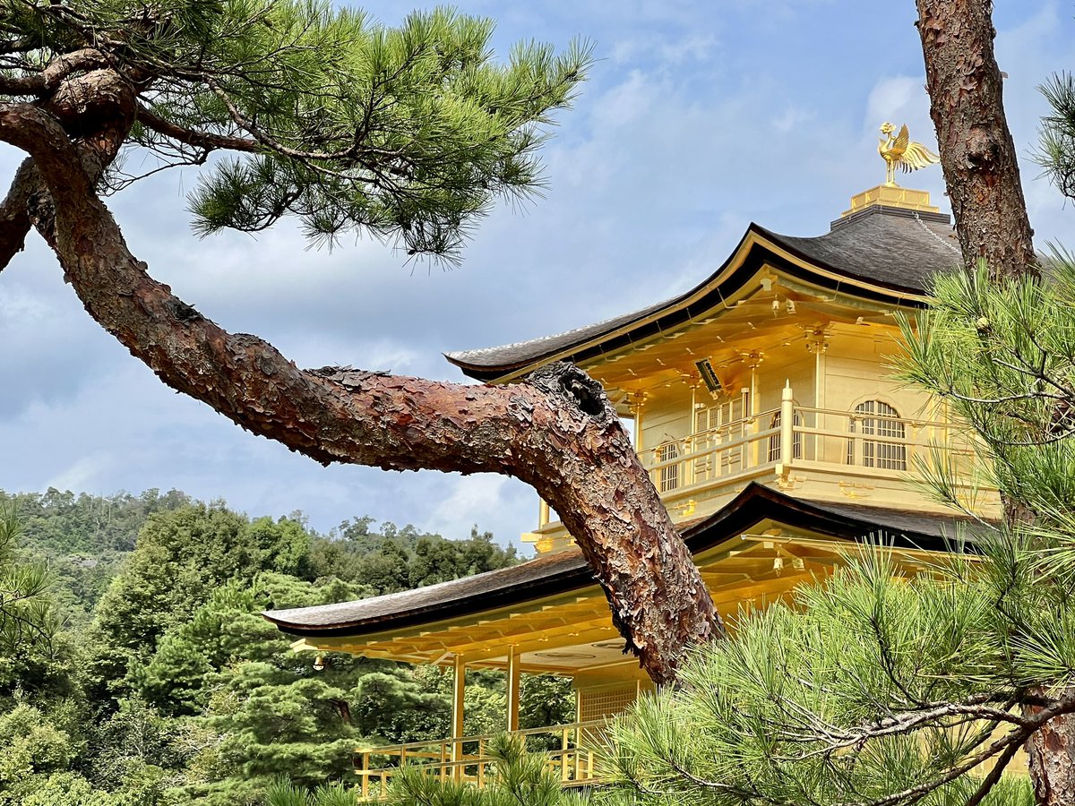 PeterMoruzzi's tweet photo. Golden Pavilion, Kyoto https://t.co/37biXCZAuJ