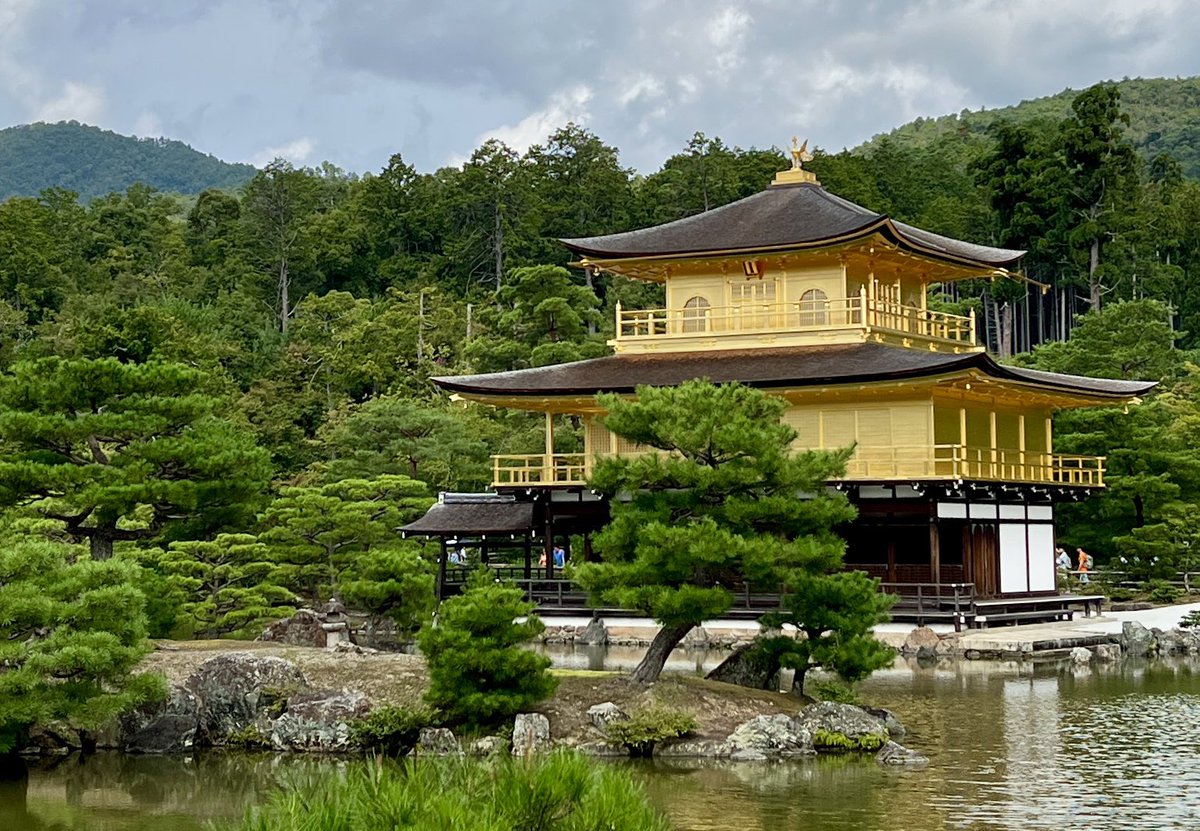 PeterMoruzzi's tweet photo. Golden Pavilion, Kyoto https://t.co/37biXCZAuJ