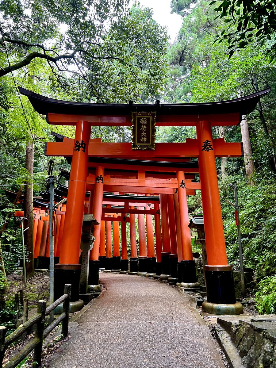 PeterMoruzzi's tweet photo. Temple of 1000 Torii Gates https://t.co/ekRhLx4zV7