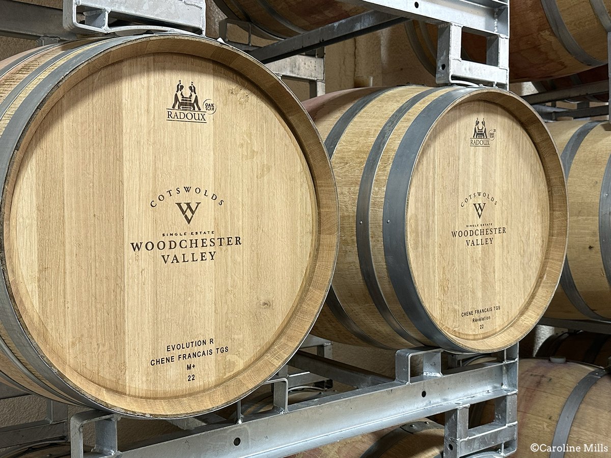 Caroline Mills tweet media