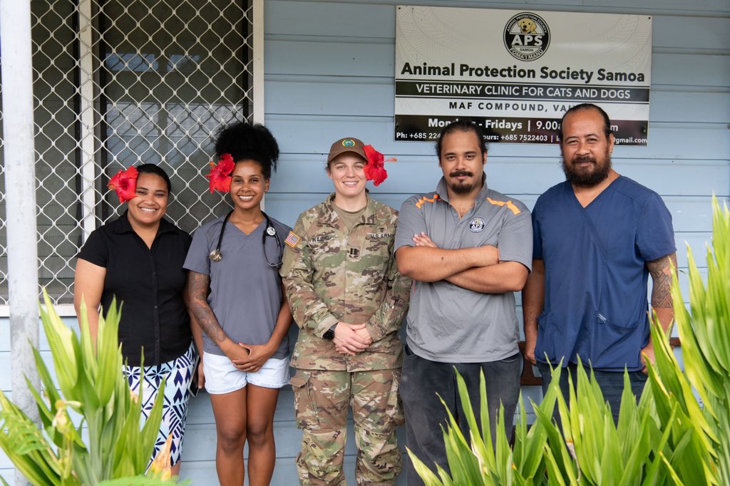 CPT Sarah Waibel, an US Army veterinarian, has spent most of her week working with Samoan and international vets. They’ve been caring for the island’s animals at the Animal Protection Society. Some of the patients there have been super cute! 🐶

#pacificpartnership2023 #PP23