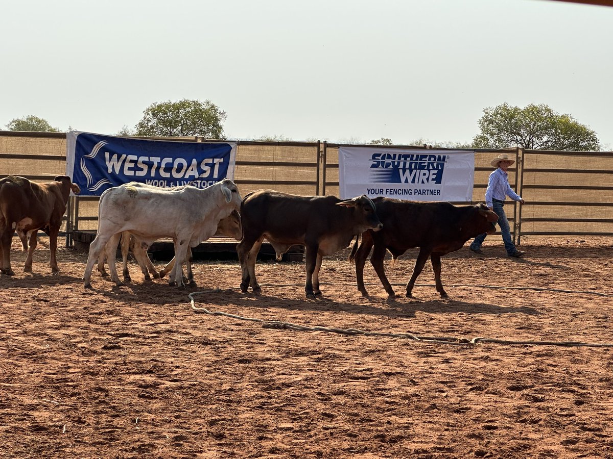 KP Cattlemen's Assoc tweet media