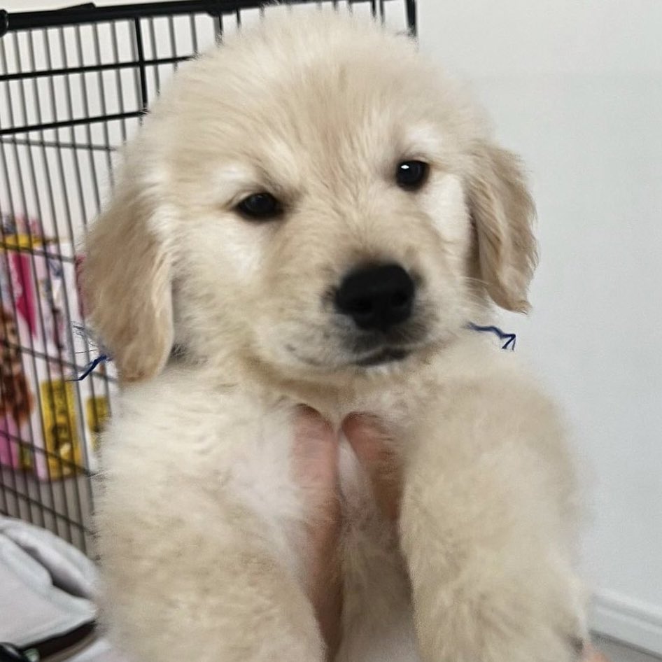 takemybear 🐶 tweet media