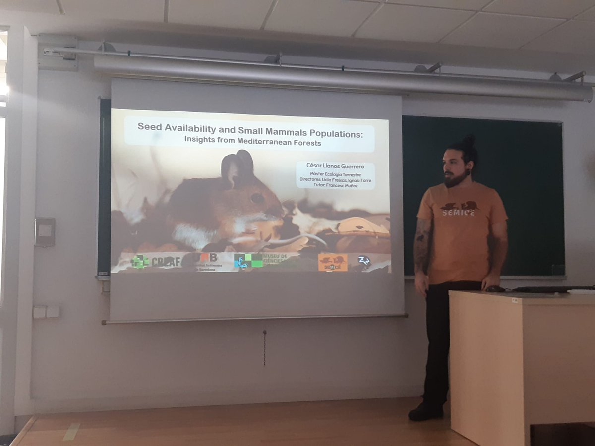 SEMICE_'s tweet image. Avui en César Llanos del grup petits mamífers del @mcngranollers presenta el seu TFM @Biociencies_UAB on ha investigat la relació entre la disponibilitat de fruits🌰 sobre l&apos;abundància de petits mamífers🐁en boscos mediterranis amb dades de #SEMICE i #ProjecteLiro. Enhorabona!!!