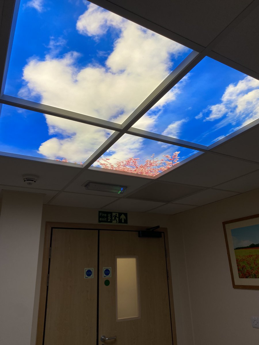 QEH Clinical Support Services tweet media