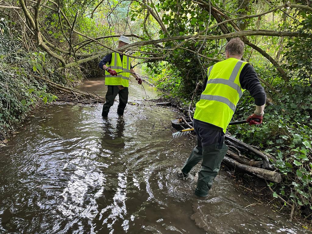 Great job by the river clearing team in the Misbourne in Amersham this  week. Get involved in improving the flow of the river through Amersham, St Giles and St Peter! Contact Bob Older at Misbourne River Action. Next river clearance this Sat 16  

#chalkstreams #rivermisbourne