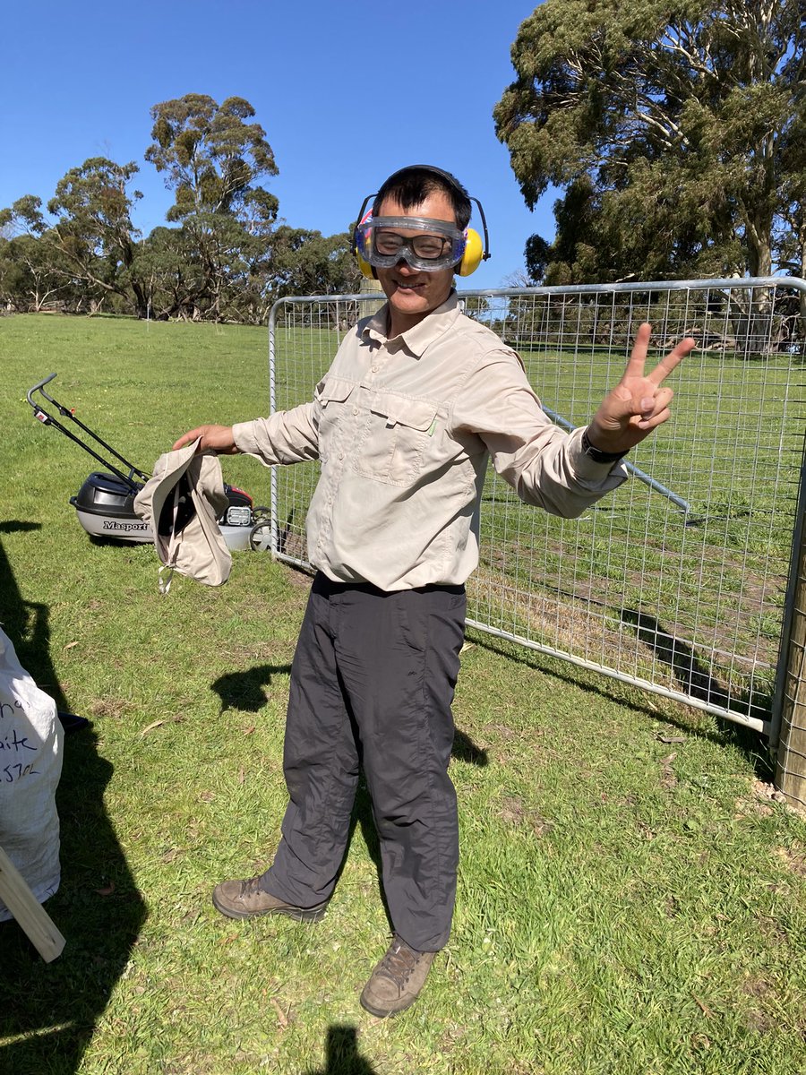 Andrew Smith (@farmsystsci) on Twitter photo A day well spent in the gorgeous sunshine doing some field work. A rough start to the season but pastures are away now. Well done Dorji on the mower <a href="/SADroughtHub/">SA Drought Resilience Adoption and Innovation Hub</a> A day well spent in the gorgeous sunshine doing some field work. A rough start to the season but pastures are away now. Well done Dorji on the mower <a href="/SADroughtHub/">SA Drought Resilience Adoption and Innovation Hub</a>