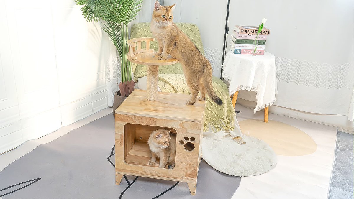 The integration of cat furniture into family life makes cats become part of the family.#petomg #cat #catcute #cattree #catwall
