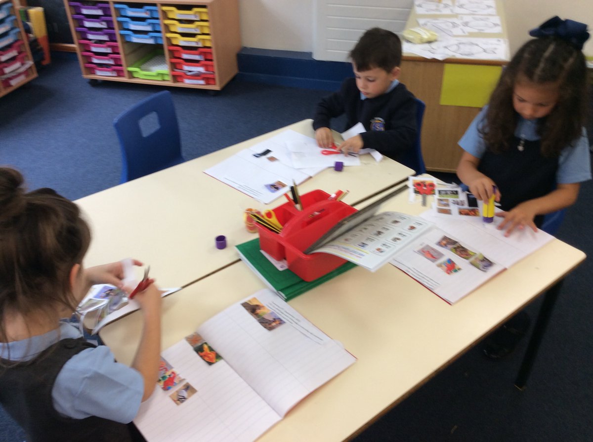 StJosephU's tweet photo. 1HW have been identifying and classifying mammals, birds and fish. #SJUScience https://t.co/l0ln7tyoK3