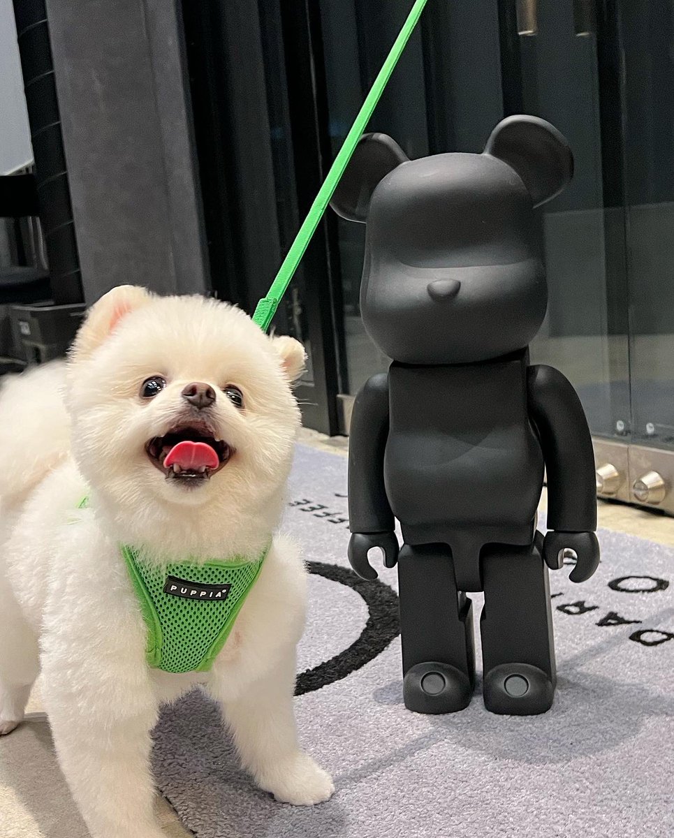 darfrutto's tweet photo. 明日は、ワンコDAY
店内ワンちゃんOKになる特別な日です
(通常はテラス席のみ)
ぜひワンちゃん連れで、お越し下さい。

岩倉市川井町浮田10番地
ダールフルットコーヒーロースターズ
0587-66-5530

#ワンちゃんok
#ドッグカフェ
#愛知県ドッグカフェ
#カフェ
#犬
#ワンコ
#ワンちゃん
#大型犬
#小型犬 https://t.co/udz1Gl04Jg