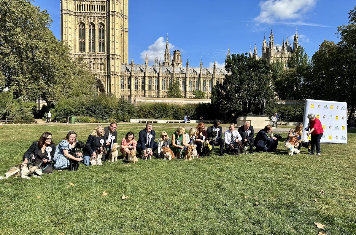 DiamondBetty's tweet photo. @BullyWatchUK @TheKennelClubUK Here are the MPs who participated in the Dog of the Year event and their pets/the dogs for adoption they sponsored. Sensibly, no one brought a bloodsport breed, presumably because they know how dangerous/unpredictable they are! https://t.co/R1U9zc6s28