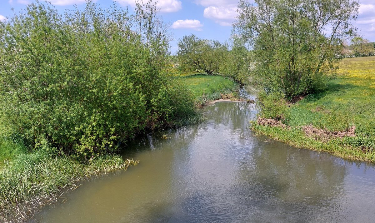 Remember that nutrient neutrality is not *ecological effects of nutrients neutrality*. With time, even if nutrient concentrations are constant, there will be ecological decline in waters. Reductions in nutrient concentrations are urgently needed
