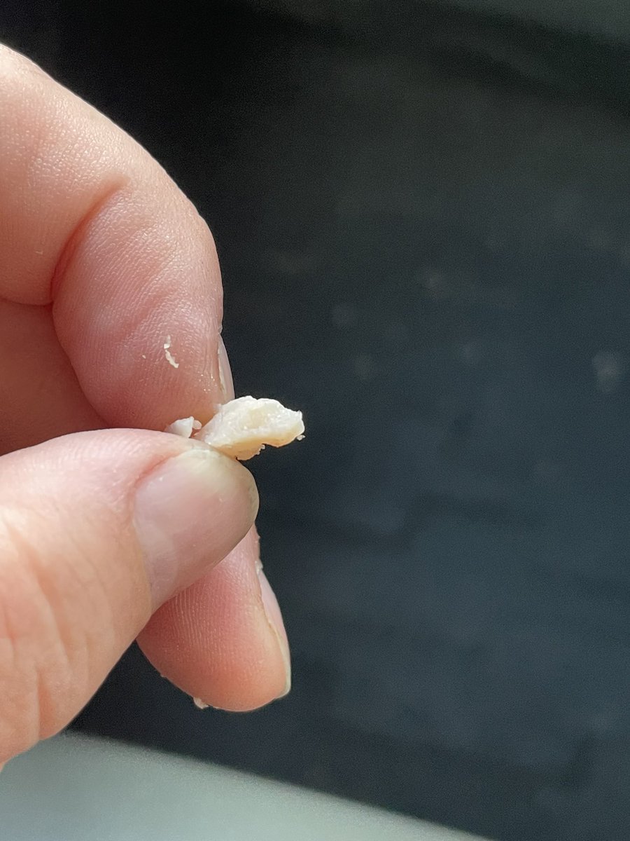 MissMapleSyrup tweet media