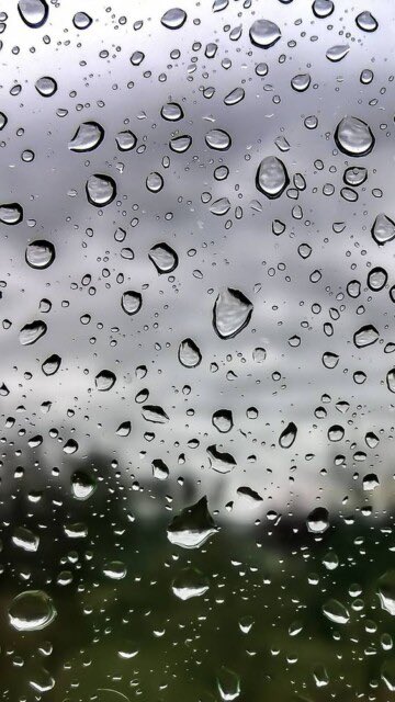 mdaldafer's tweet photo. #رذاذ ☔️

تحت هذا الـ #ثريد الممتدّ ألتقيكم بإذن الله في #نصوص و #خواطر و #وقفات أكتبها لكل يوم من أيام السنة، لتصبح 365 نصّاً موجزًا..
آمل أن تكون ملهمةً ومنعشةً كالرذاذ.

حياكم 🪻 https://t.co/3kjgadsPPj