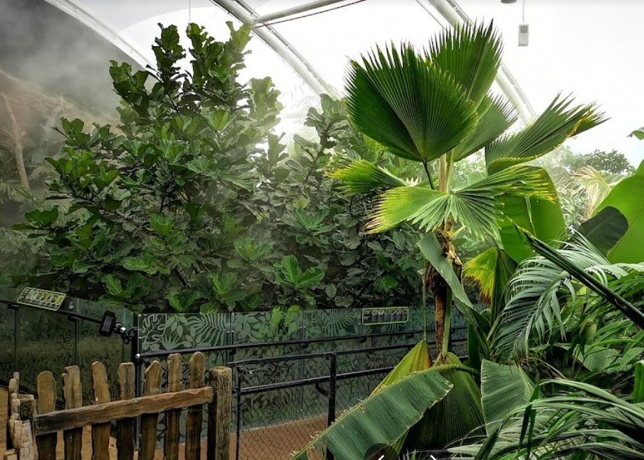 JewellAAT's tweet photo. Year 5 had a fantastic visit to @Marwellwildlife to launch to their Destination South America topic. They were a credit to the school and were able to learn all about tropical environments, animals and habitats. https://t.co/kRX2rxjKxt