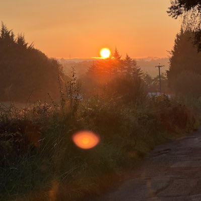 burnsi79886's tweet photo. #NewProfilePic https://t.co/U8nLquigHD