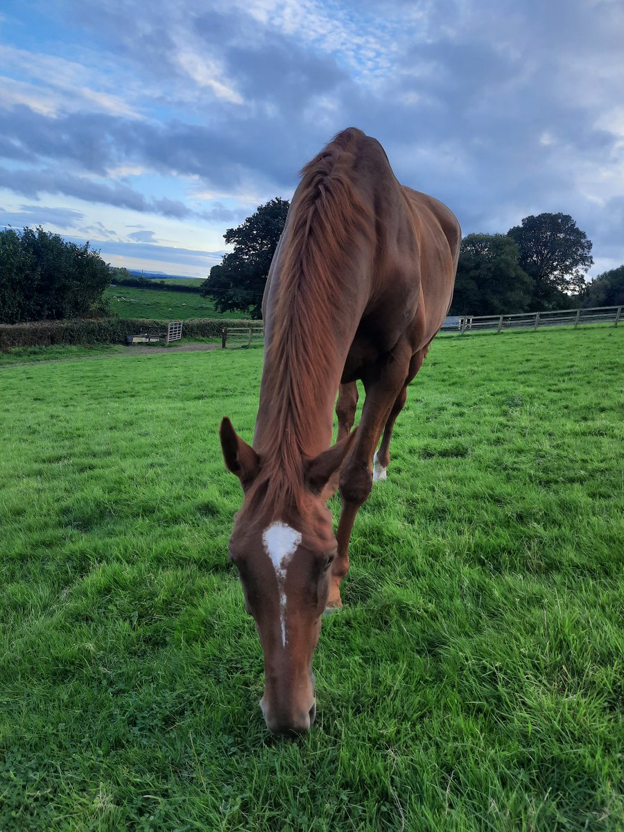 𝐊𝐞𝐫𝐫𝐲 𝐋𝐞𝐞 tweet media