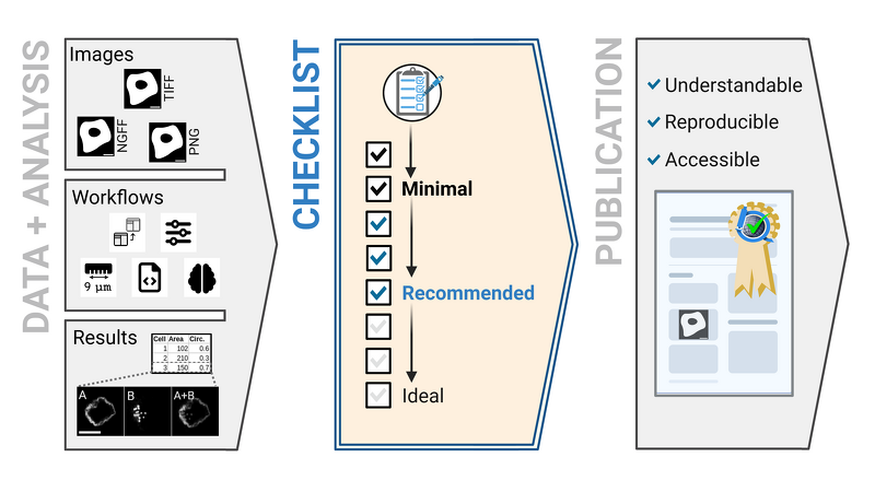 The paper 'Community-developed checklists for publishing images and image analyses' has been published in Nature Methods. quarep.org/checklists-for…