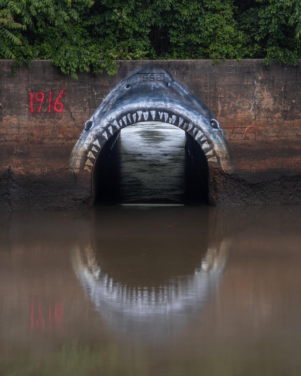 Steven Spielberg basó su película Tiburón en el libro de Peter Benchley, quien a su vez se  inspiró en algo ocurrido en 1916 en Nueva Jersey: los ataques de tiburón que duraron 12 terroríficos días.

Esta foto de ©️Christopher Collins (urbexandchill/Instagram) marca la ubicación