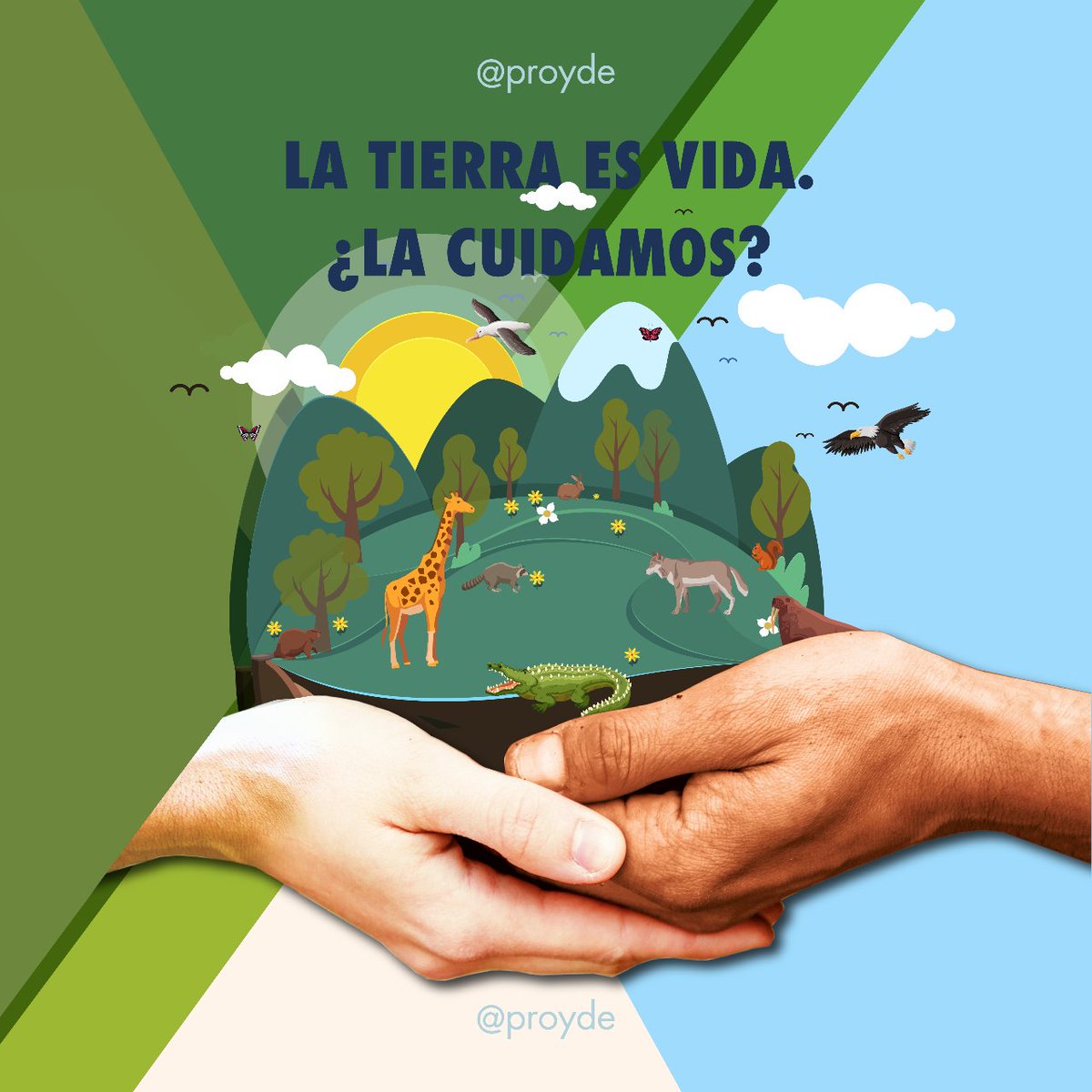 PROYDE's tweet photo. Hoy te queremos presentar la nueva campaña de sensibilización para el curso 2023/24: LA TIERRA ES VIDA ¿LA CUIDAMOS? 

Este año trabajaremos y hablaremos sobre el #ODS15 ¡muy pronto te contamos más!

#proyde #agenda2030 #LaTierraEsVida #biodiversidad #EducaciónParaElDesarrollo https://t.co/rIjFKYqDEW