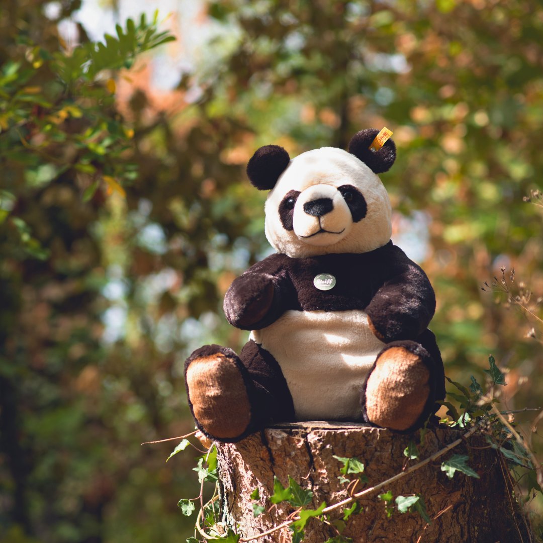 Teddybearland's tweet photo. Pandi the giant panda is so huggable! 😍🐼
Available now: https://t.co/rtgX2u3LKm
#Steiff #knopfimohr #explore #teddys #toys #teddybear #Collectables #BearCollectables #teddybearland #steiffteddy https://t.co/j4EAoUnTbe