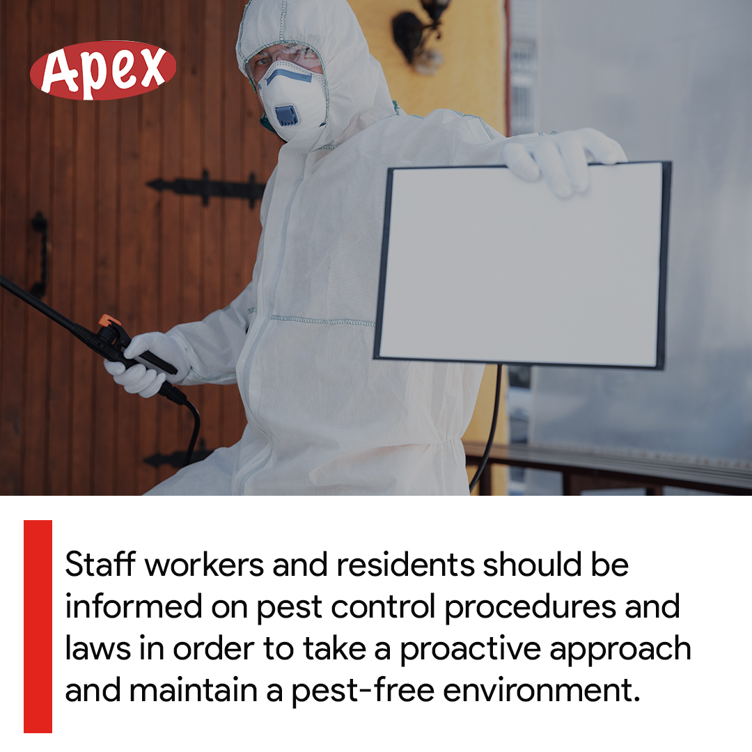 ApexTradeSolu's tweet image. Staff workers and residents should be informed on pest control procedures and laws in order to take a proactive approach and maintain a pest-free environment.

DM or Contact us today at 0203 3765 844 

#APEXTradeSolutions #BusinessSafety #LondonBusiness