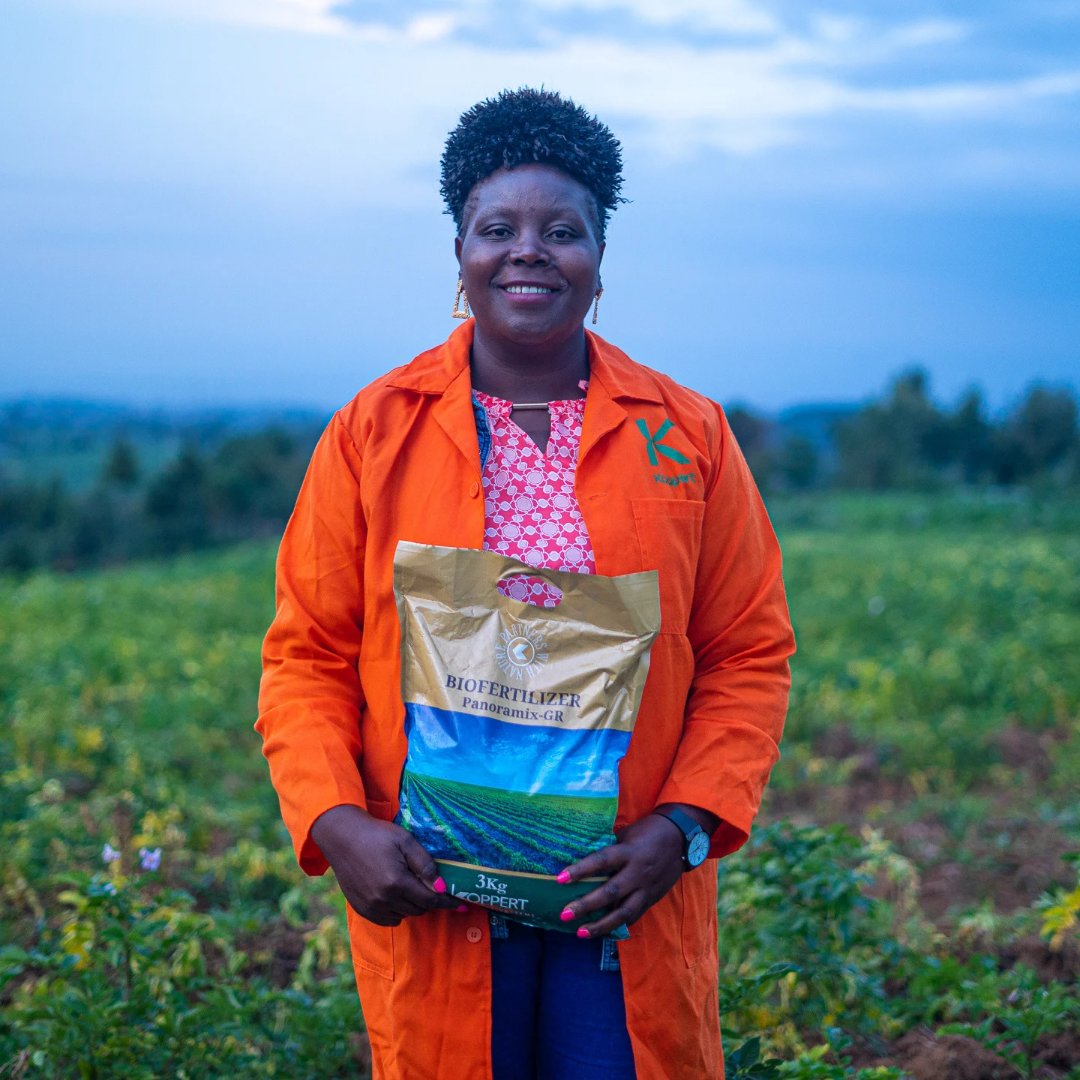"I started using Panoramix-Gr in one acre of my farm but now I use it in my entire farm." Ann, a small scale potato farmer, Elburgon.Panoramix-Gr has a combination of microbes that work to boost crop growth &amp; ultimately increase production.#KoppertKE #Partnerswithnature
