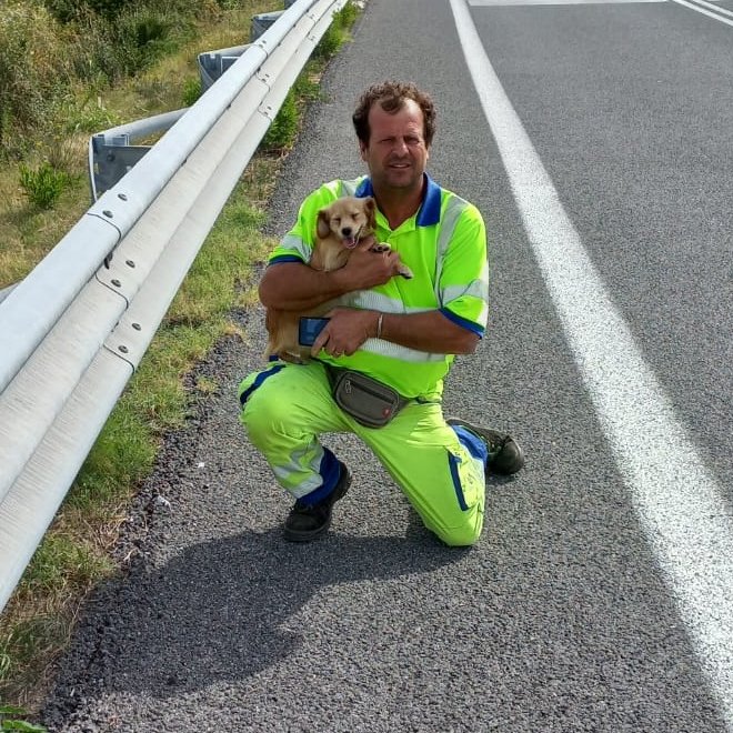 StradeAnas's tweet photo. 💛🐶 Lungo la #SS77 Var della “Val di Chienti” un cagnolino è stato messo in sicurezza e poi restituito al proprietario da una squadra #Anas della struttura Territoriale Umbria. #Amamiebasta
@LNDC_NAZIONALE https://t.co/PmFOIOU8Sz