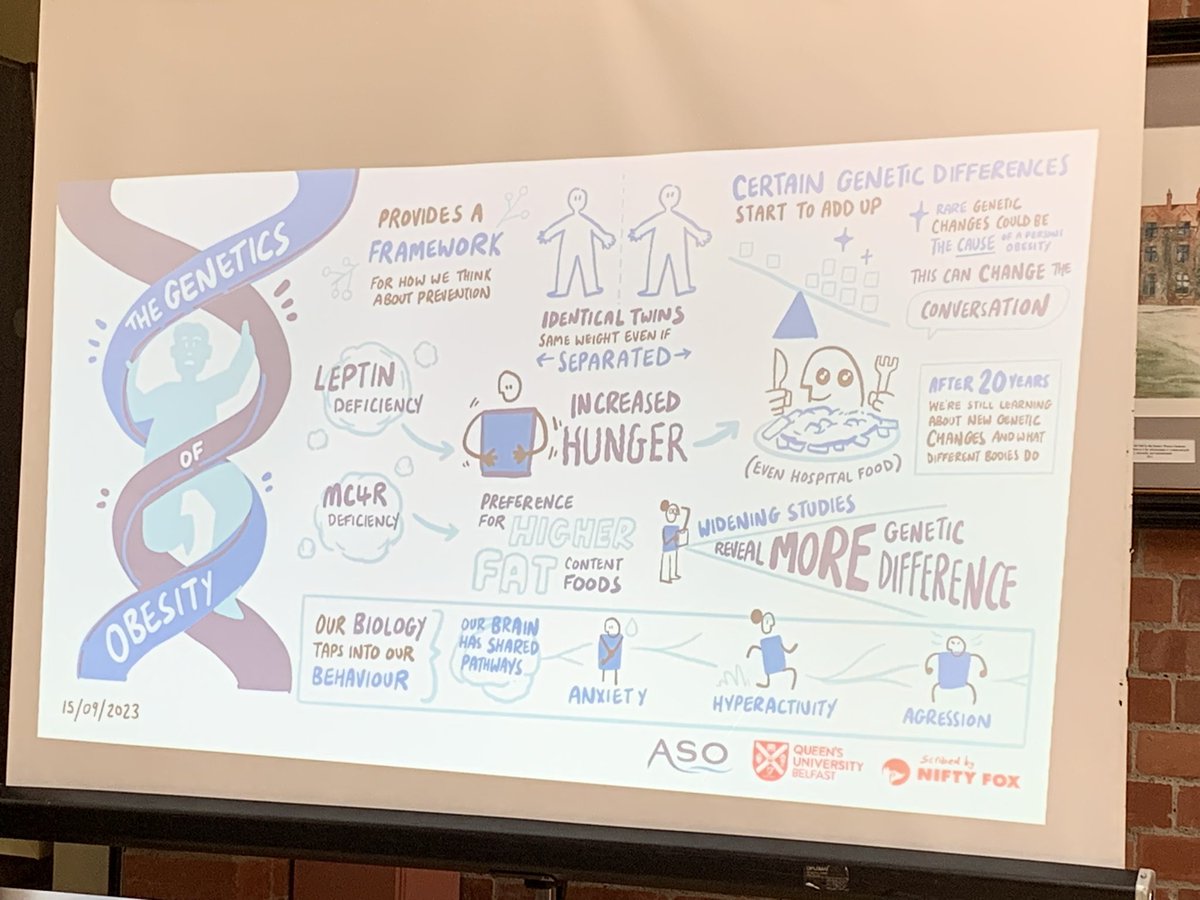 Mpmok's tweet photo. Prof Farooqi  - brilliant presentation explaining the complex area of #obesity and #genes in ways we can understand. Great summary drawn through the meeting #UKCO2023 https://t.co/mbKzzrAh7y