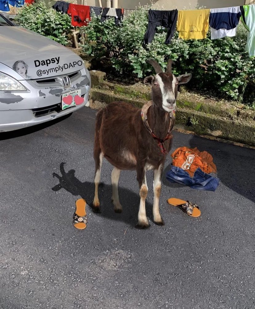 JustDirmax's tweet photo. A Thread of some funny Photoshop Requests &amp; Replies😂😂 https://t.co/Vmkv94aIdd