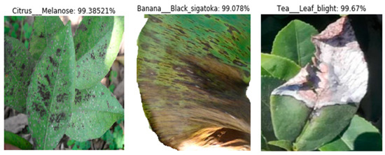 Applsci's tweet image. 🔥 Read our Highly Cited Paper
📚 Plant Disease Detection Using Deep Convolutional Neural Network
🔗 mdpi.com/2076-3417/12/1…
👨 by Mr. J. Arun Pandian et al.
#neuralnetworks #hyperparameteroptimization #transfer