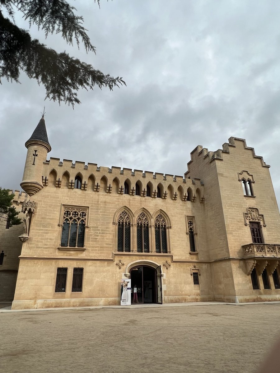 Anna Brunsó ツ tweet media