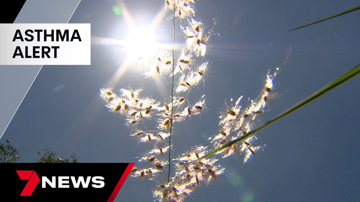 Ambulance Victoria is warning Victorians to brace for a potentially deadly thunderstorm asthma season. It says conditions are similar to 2016 when 10 people and thousands landed in hospital. youtu.be/4JB3Co-fg1Y <a href="/SaraJones_7/">Sara Jones</a> #7NEWS