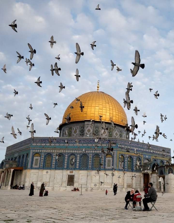 “Sen cuma gününün hürriyet kadar kutsal olduğunu onlara anlat.”
Sezai Karakoç