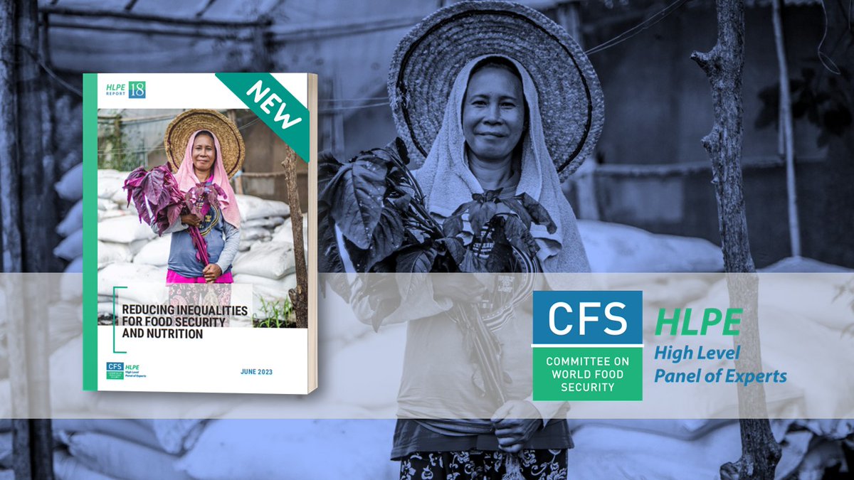 ⚠️Inequalities in both opportunities and outcomes are particularly stark within #foodsystems. They exacerbate already alarming conditions of hunger and malnutrition, presenting a serious impediment to any successful transformation.

Read more in the🆕📘bit.ly/HLPE18report
