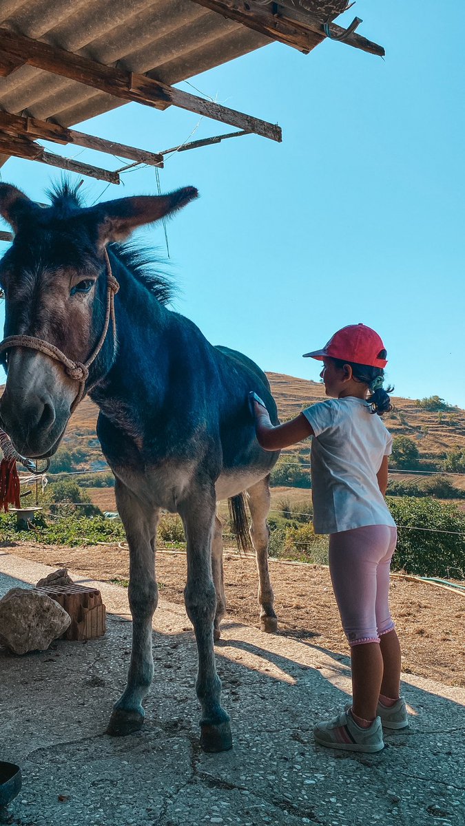 Hai mai fatto trekking con gli asini?
Lo scorso weekend siamo state a Santo Stefano di Sessanio, <a href="/BorghiPiuBelli/">Borghi+belli Italia</a> 

Grazie a <a href="/Ciaglietta_c/">Gira e Rigira</a> (montagna e cultura a passo d’asino) abbiamo scoperto il territorio facendo trekking con simpatici e dolci asinelli🫏

#FamilyFriendly
