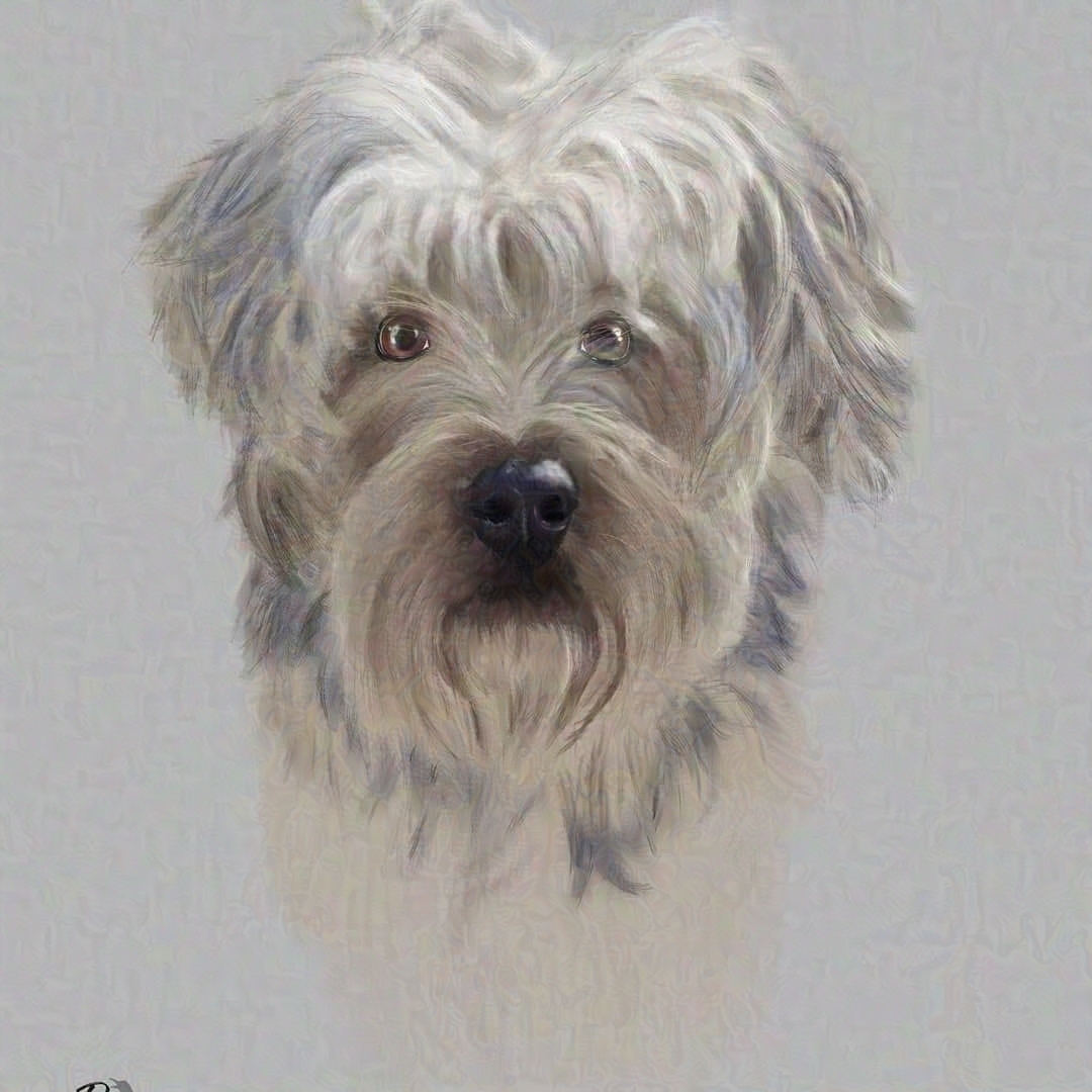 RavenSongArt's tweet photo. 'Tybalt'
Yorkishire Terrier
Digital Painting
Photoshop
2020
Reference photo provided and permission to use by the client https://t.co/eqmPOlmmUQ