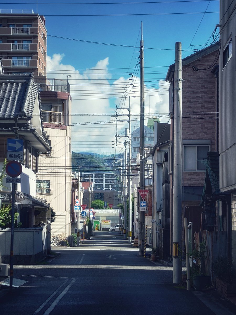 shitamade's tweet photo. 最近、阪神と猫の写真ばっかりだけどこんなのも撮ってる（撮ってた）んだよ！ https://t.co/NgSEQWEsVh