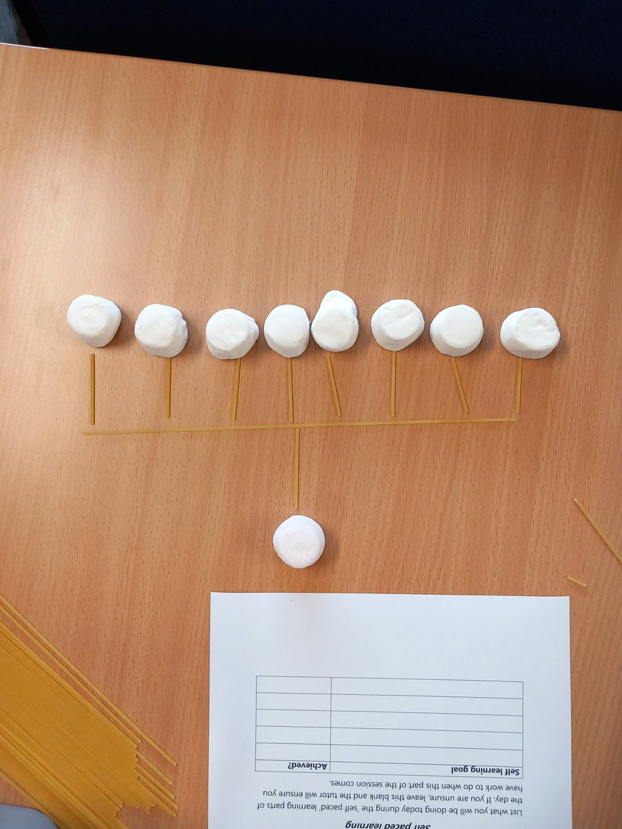 MattAssessor's tweet photo. Got my Business Admin apprentices on with a task yesterday making some tall and flat organisational structures from spaghetti and marshmallows! 🙂🙏 from this we then talked about span of control and levels of hierarchy and, of course, finished off the remaining marshmallows!! https://t.co/SY3HO7un6n