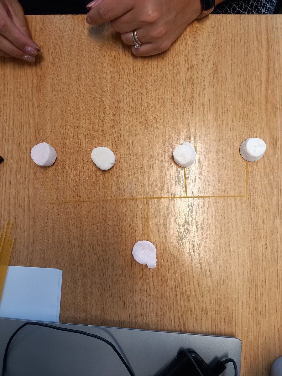 MattAssessor's tweet photo. Got my Business Admin apprentices on with a task yesterday making some tall and flat organisational structures from spaghetti and marshmallows! 🙂🙏 from this we then talked about span of control and levels of hierarchy and, of course, finished off the remaining marshmallows!! https://t.co/SY3HO7un6n