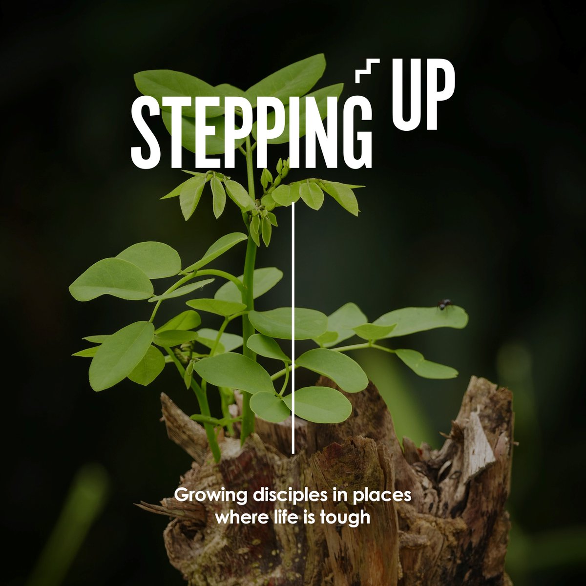 🙏PRAYING FOR STEPPING UP 🙏
This week is the start of a new term for Stepping Up. Please join us in praying for the five learning communities, especially the new group that has started in Middlesbrough. We love seeing people grow &amp; discover how God is calling them in mission.