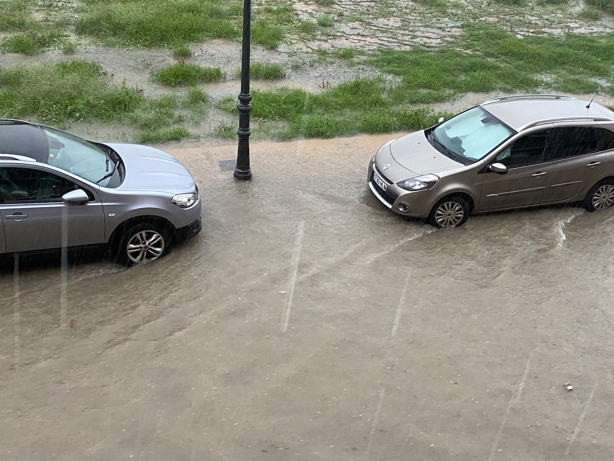 Una más en el camino tweet media