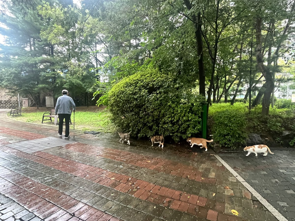 siksigsik's tweet photo. 츄르부는 할아버지 https://t.co/YFoIsPYMTw