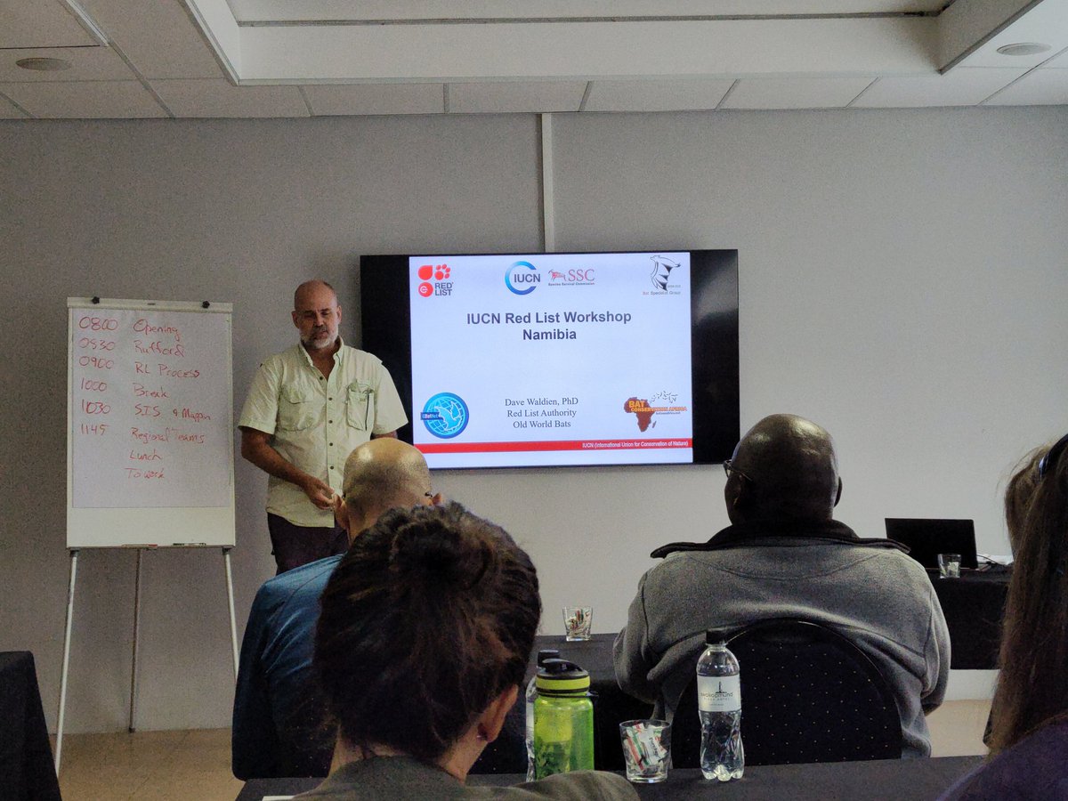 Here we go! First day of the IUCN #RedList workshop in Namibia to assess African #bats 
🦇🦇
<a href="/blondezoologist/">Alexandra Howard</a> <a href="/TuneuCarme/">Carme Tuneu-Corral</a> <a href="/ivanabudinski/">Ivana Budinski</a> <a href="/MonadjemAra/">Ara Monadjem</a> <a href="/CmMontauban/">Cecilia Montauban 🦇🐾</a> <a href="/IroroTanshi/">Iroro Tanshi, PhD</a> <a href="/KibiwotSospeter/">kibiwot Sospeter</a> <a href="/JulesAtagana/">patrick jules ATAGANA</a> <a href="/Paul_Webala/">Paul Webala</a> <a href="/ruffordgrants/">Rufford Foundation</a> <a href="/GlobalBatNet/">Global Union of Bat Diversity Networks (GBatNet)</a> <a href="/PeterJohnTaylo3/">Peter John Taylor</a>