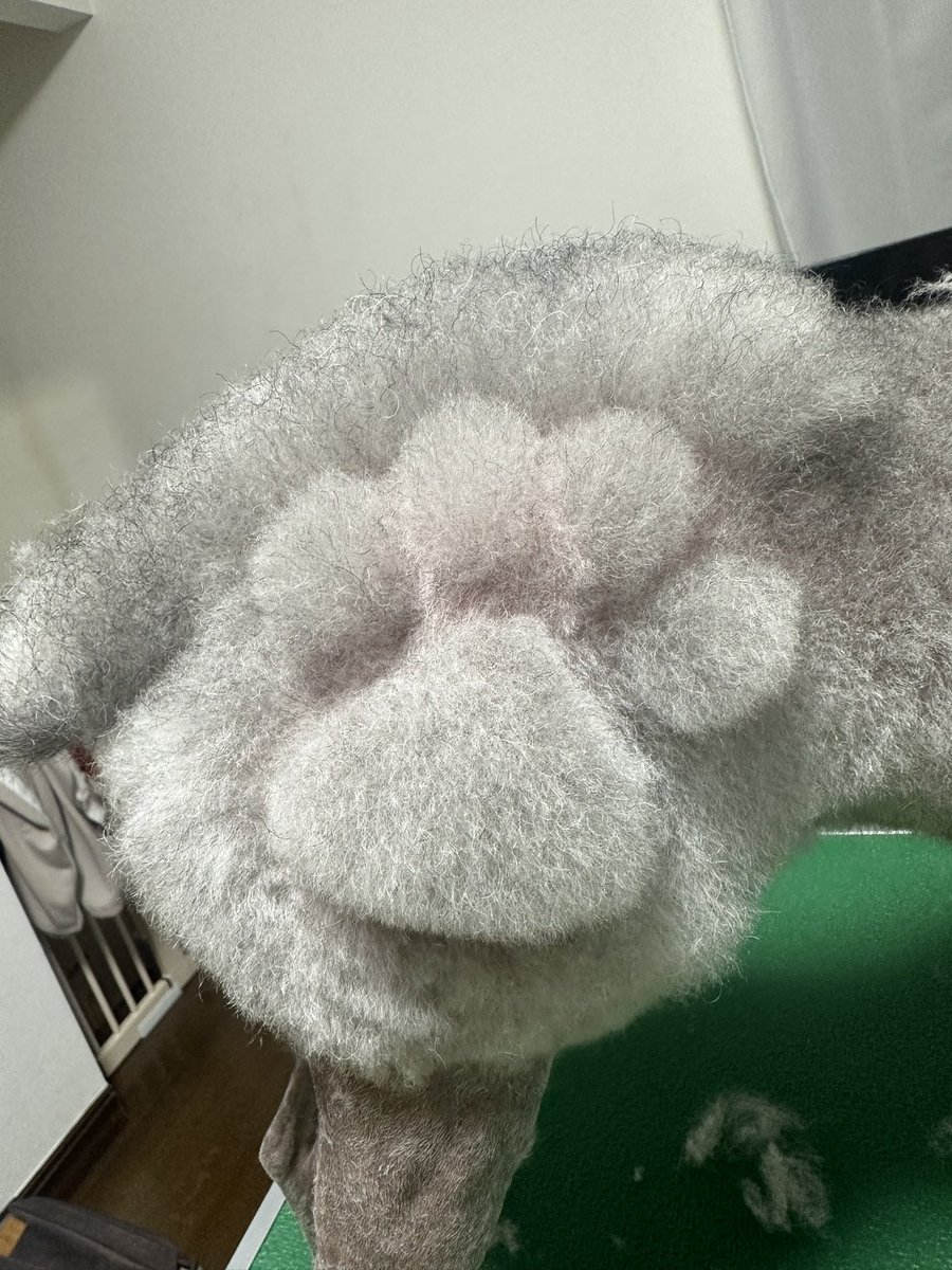 oO149cm's tweet photo. 肉球🐾 https://t.co/JywxreORWK