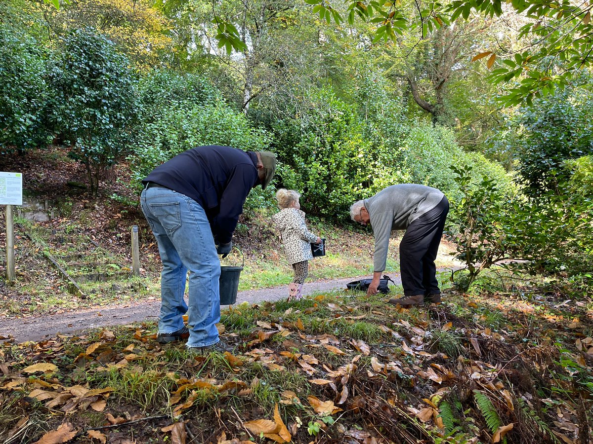 CornwallEmmaus's tweet photo. Our autumn tree nursery volunteering sessions are live! We will be running multiple sessions in September &amp; October to collect tree seeds at our Trewoon nursery, Lanhydrock, Trewithen and Treslissick. 

Help fight climate change and raise funds for our homelessness charity 💚🌍 https://t.co/RRSNK2MCPs