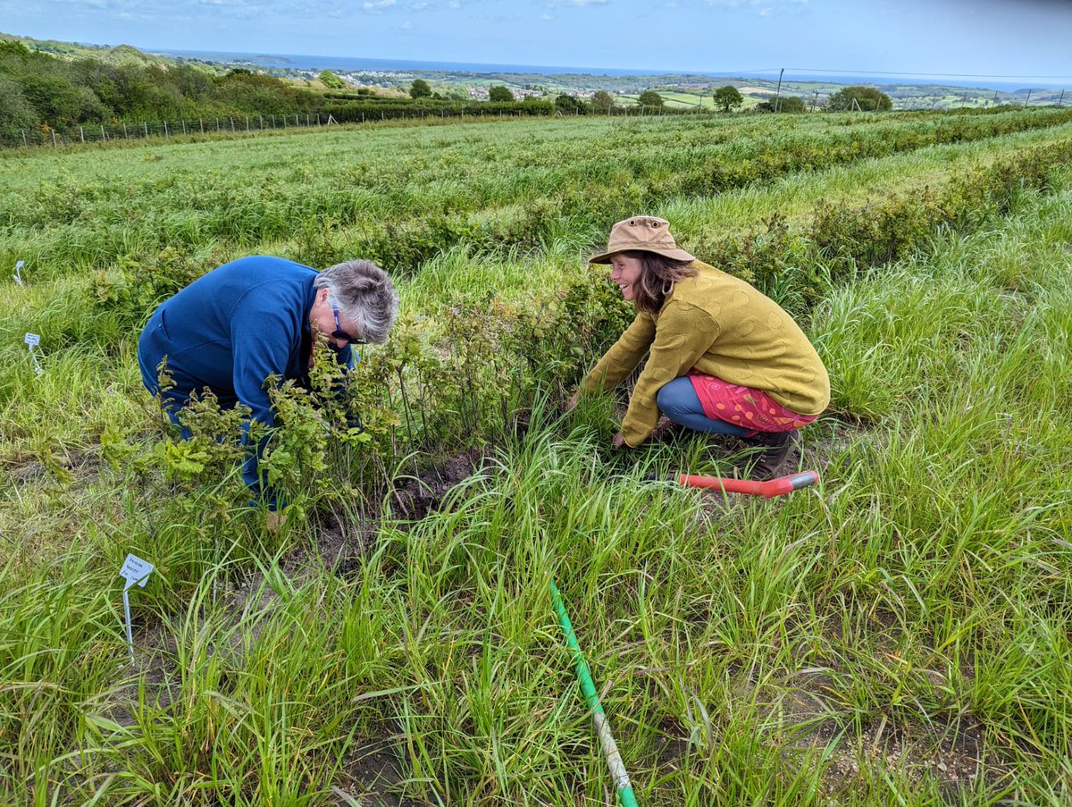 CornwallEmmaus's tweet photo. Our autumn tree nursery volunteering sessions are live! We will be running multiple sessions in September &amp; October to collect tree seeds at our Trewoon nursery, Lanhydrock, Trewithen and Treslissick. 

Help fight climate change and raise funds for our homelessness charity 💚🌍 https://t.co/RRSNK2MCPs