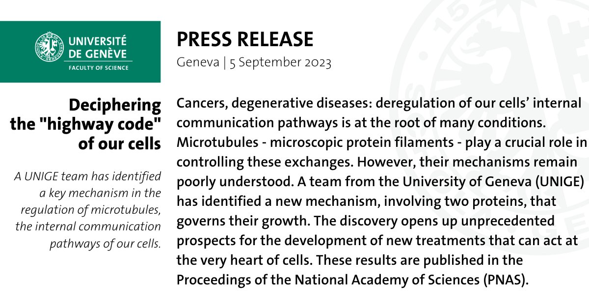 Cities have roads, cells have #microtubules. A #FacSciUNIGE team uncovers CLIP-170 &amp; EB3 proteins as cellular "traffic controllers". This paves the way to tackle diseases like #cancer. 

📚 ow.ly/RNpx50PLVip
🗞 ow.ly/6jSm50PLVio

<a href="/unige_en/">UNIGE_en</a>