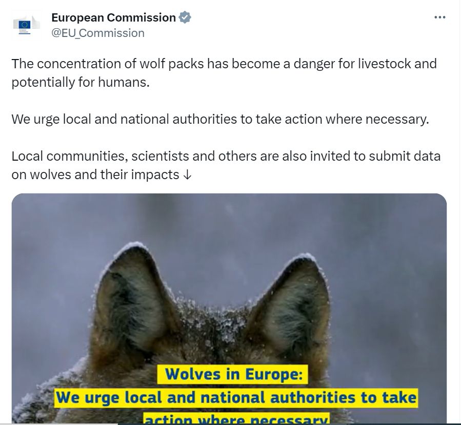 The current #wolf debate in Europe has the wrong focus. The EC demands recent numbers of wolves, but do these numbers really matter? EU members share a commitment to have healthy sustainable populations of wolves across Europe, so this implies we need to coexist with them. 1/12