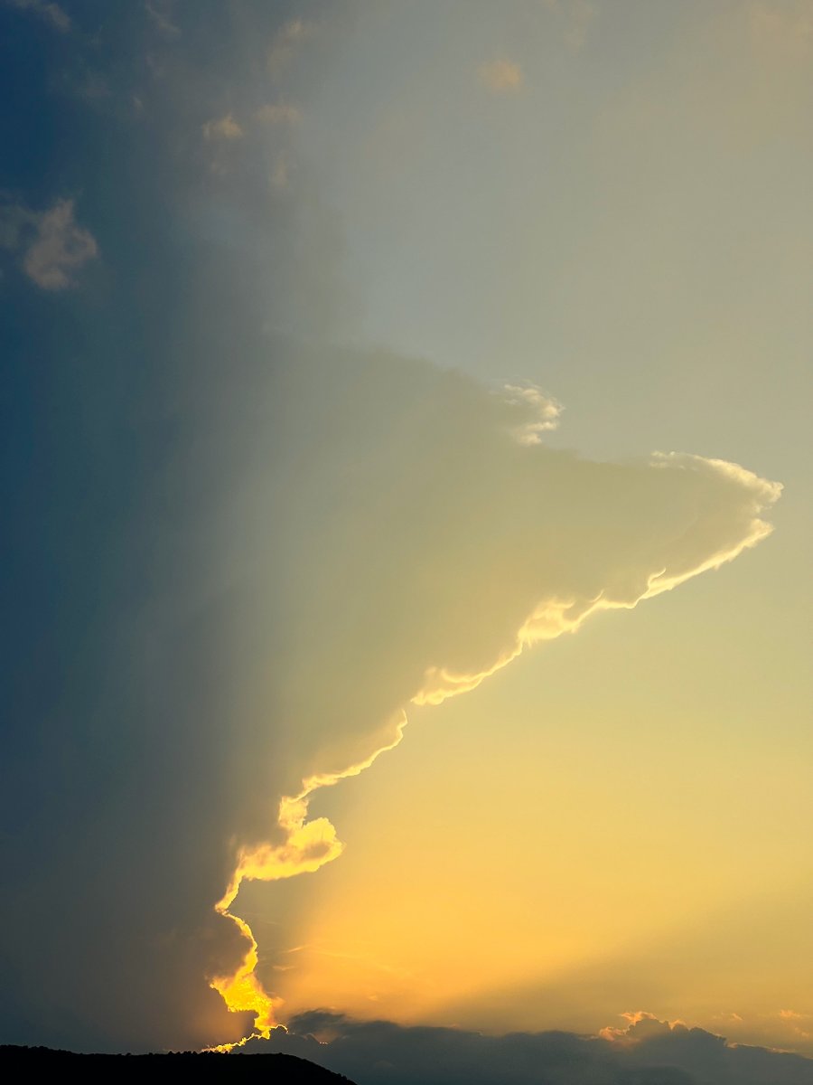 xtina_mandarina's tweet photo. El tiempo es eso que pasa mientras me quedo embobada viendo estos atardeceres 💛

#atardecer #cielo #sky #nubes #últimosrayosdesol #enlasnubes https://t.co/fEK2ICAIkN
